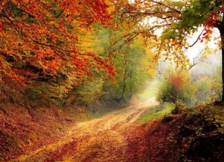 Jaki będzie rok 2023 dla Wagi?