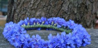 Ile kosztuje zrobienie wianka?