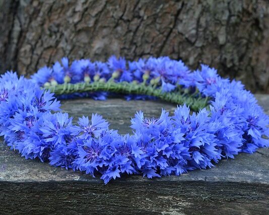 Ile kosztuje zrobienie wianka? Ile kosztuje zrobienie wianka?