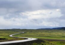 Jak prowadzić mokra muchę?