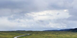 Jak prowadzić mokra muchę?