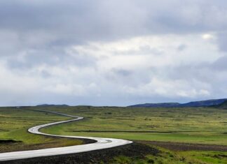 Jak prowadzić mokra muchę?