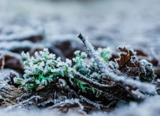 Jak sprawdzić czy człowiek jest napromieniowany? Jak sprawdzić czy człowiek jest napromieniowany?