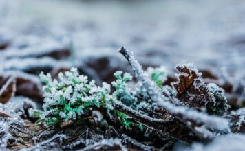 Jak sprawdzić czy człowiek jest napromieniowany?
