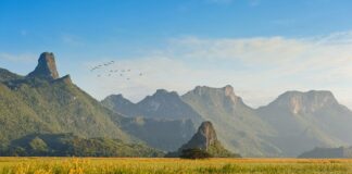 Jak ładnie podać drugie danie?