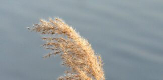 Czym się różnią getry od leginsów?