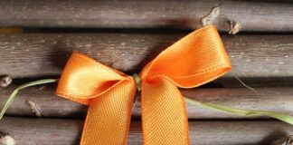 Co to znaczy kokarda narodowa?