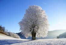 Jaki dobry szwajcarski zegarek? Jaki dobry szwajcarski zegarek?