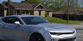 Czy LV torebki są wykonane ze skóry?