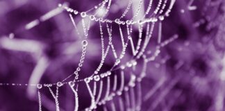 Ile kosztuje oryginalna torebka Chanel?