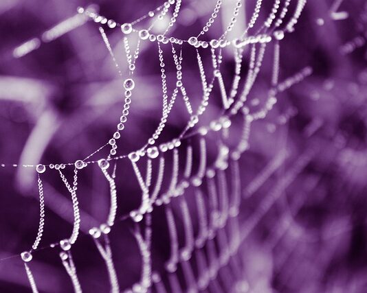 Ile kosztuje oryginalna torebka Chanel? Ile kosztuje oryginalna torebka Chanel?