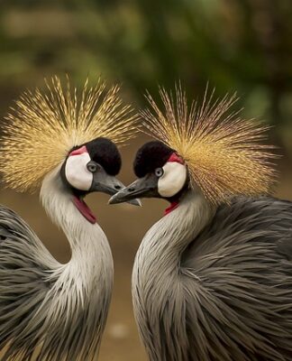 Jak często pierzecie bieliznę?