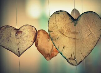 Co do brązowych legginsów? Co do brązowych legginsów?