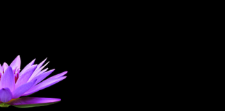 Z czym nosić czarne legginsy?