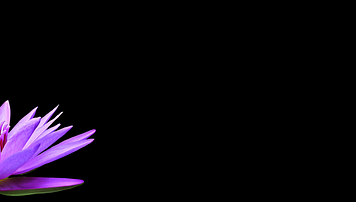 Z czym nosić czarne legginsy?