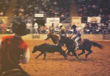 Co pili kowboje? Co pili kowboje?