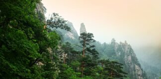 Co napisać w dedykacji w książce?