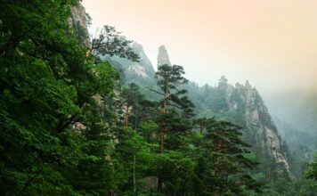Co napisać w dedykacji w książce?