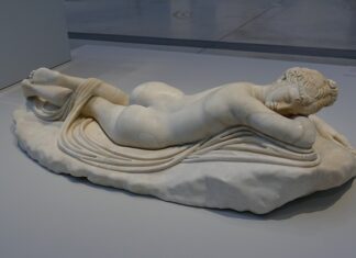 Jak długo żyją muszki? Jak długo żyją muszki?