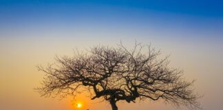 Jak podziękować za wieczór panieński?