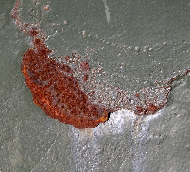 Czy wysokie podbicie to wada? Czy wysokie podbicie to wada?