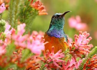 Co to znaczy dwurzędowa marynarka? Co to znaczy dwurzędowa marynarka?