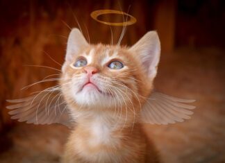 Jakich życzeń nie składać?