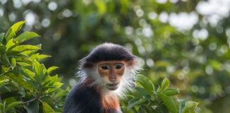 Ile jest rodzajów majtek?