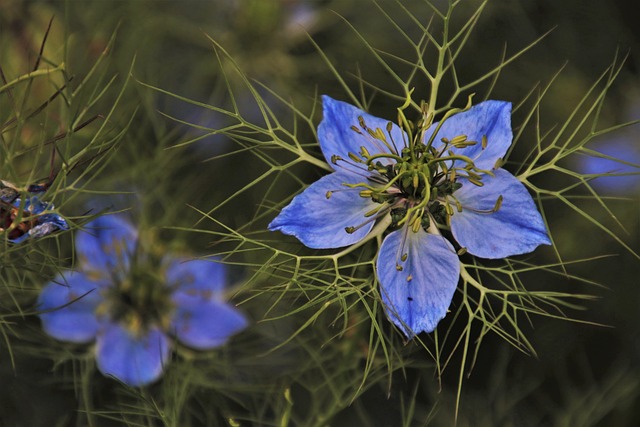 Co na górę do zielonej sukienki? Co na górę do zielonej sukienki?