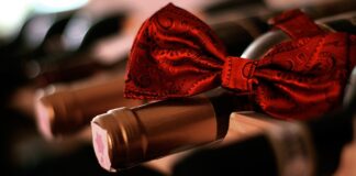 Jak wytępić muszki?