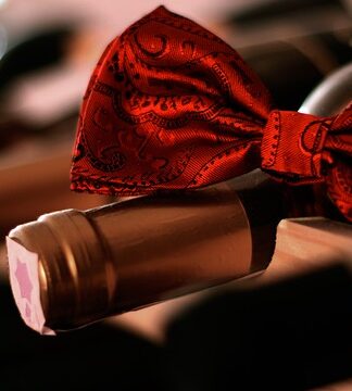 Jak wytępić muszki?