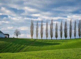 Jakie kolory lato 2023?