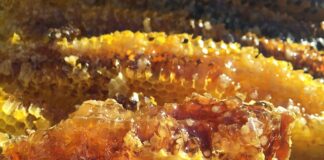 Po czym poznać że torebka jest oryginalna?