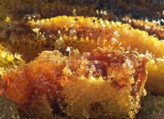 Po czym poznać że torebka jest oryginalna?